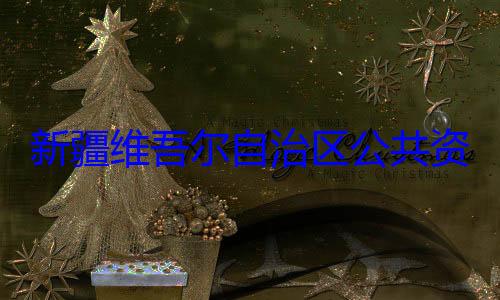 建强接受审新疆维吾尔心副主任薛自治区公共资源交易中查调查